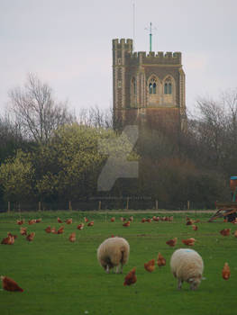 Cardington Church