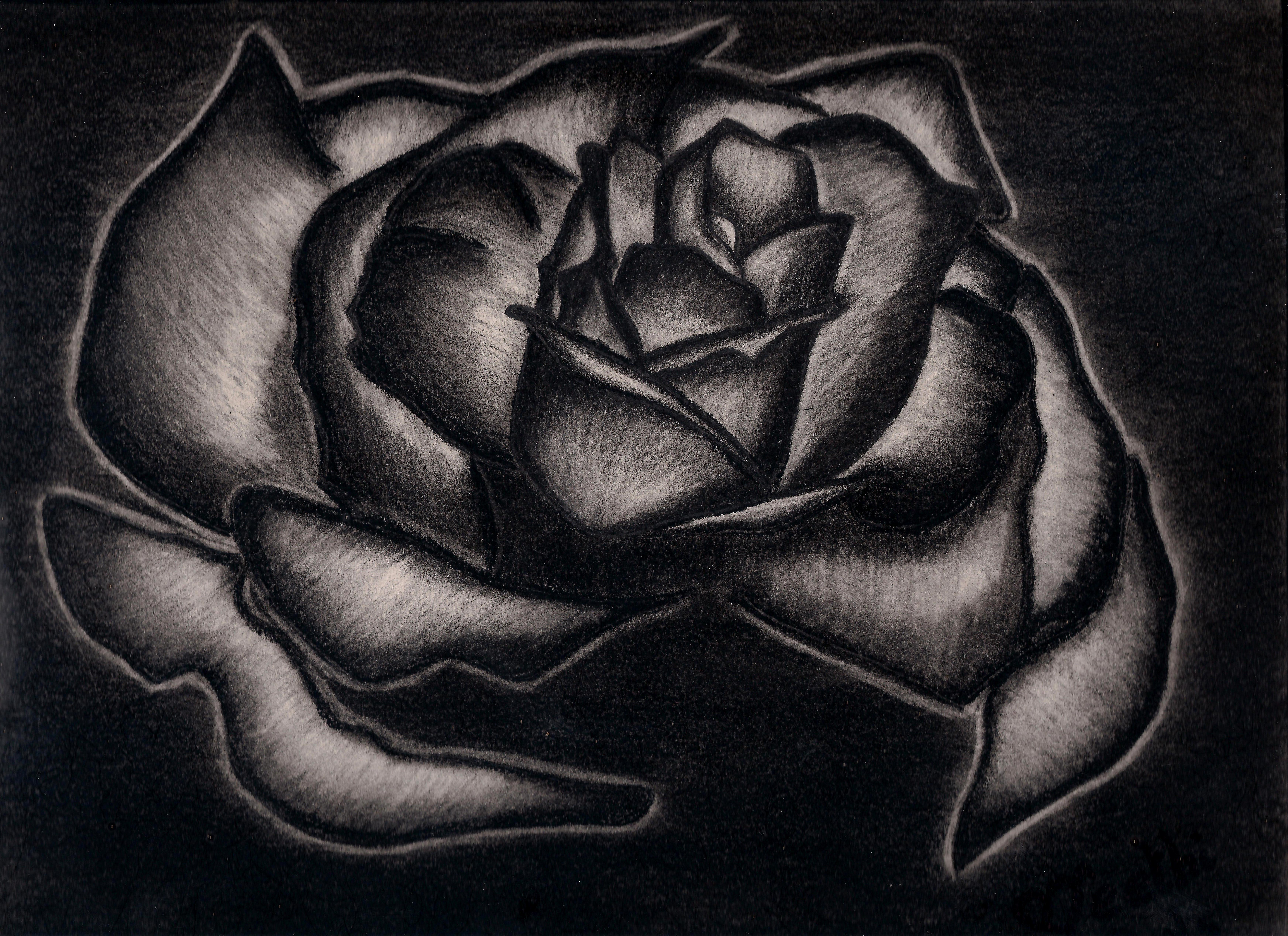 Black Rose By Preethi524 On Deviantart.