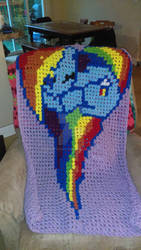 rainbow dash blanket.