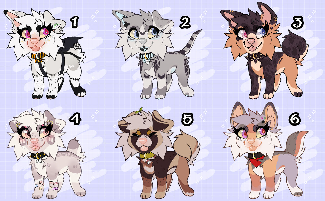Canine auction - CLOSED