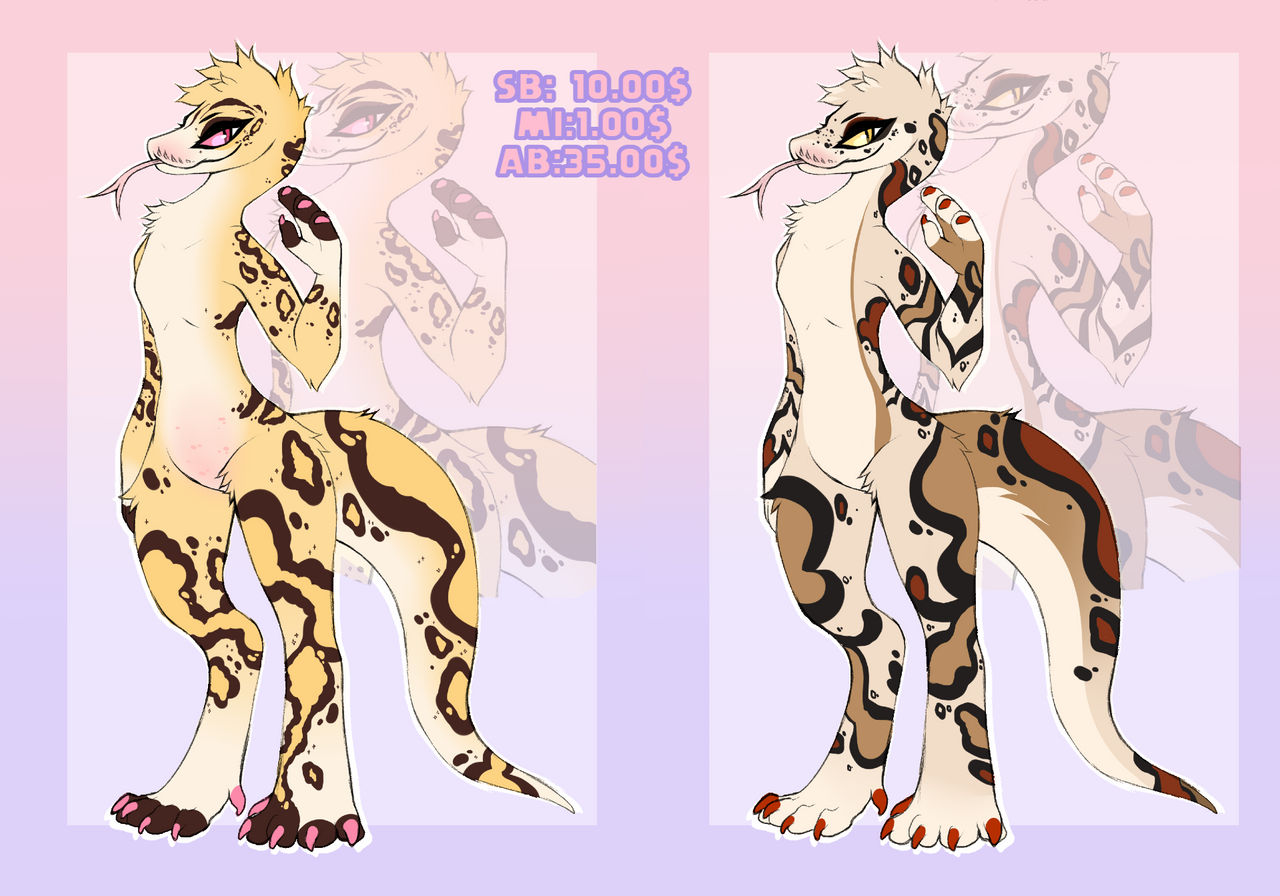 Ball python auction - CLOSED