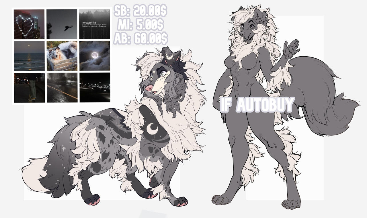Shetland Sheepdog Adopt - CLOSED