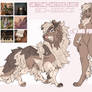 Shetland Sheepdog Adopt - closed