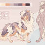 Shetland Sheepdog Auction - CLOSED