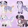 Puppy adopt batch - CLOSED