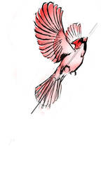 Cardinal Tattoo