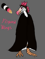 Flightedwings Sketch