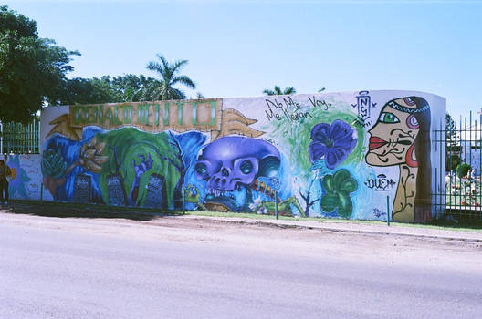 Day of the Dead Dia de Muertos Mazatlan Sin Mex