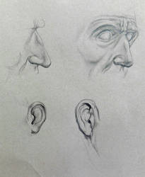 study of head parts