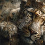 The Weary Monarch of the Jungle