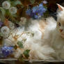White Tenderness