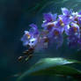 Nocturnal Orchid