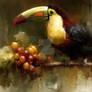 Color of the Jungle