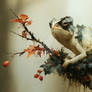 The Color of Impermanence