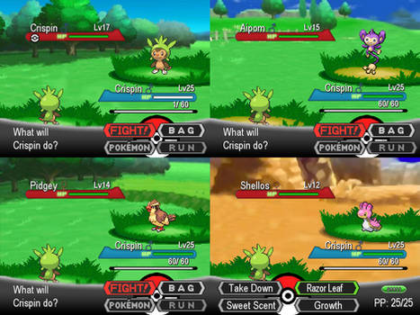 pokemon battle test