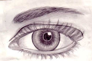 Female Eye In Pencil