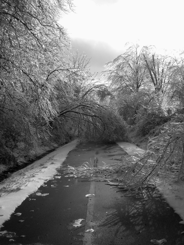 The Road to Winter.