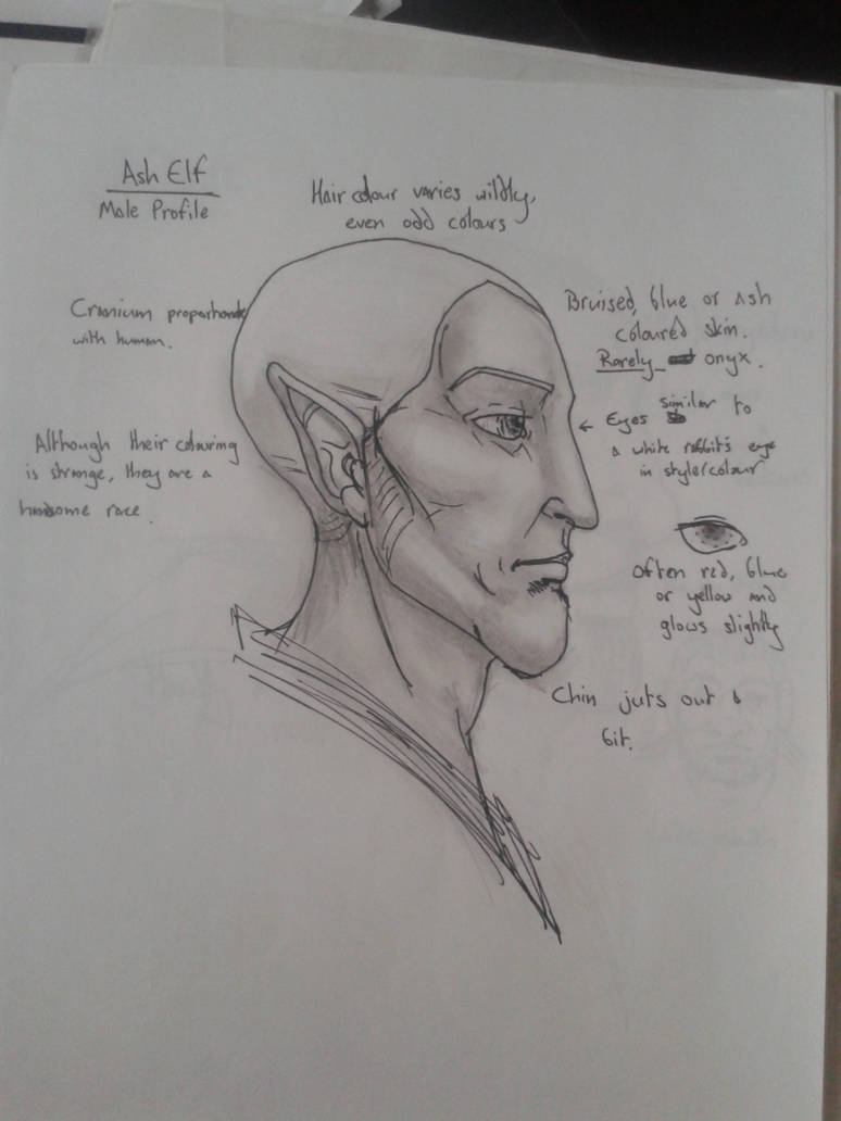 Male Ash Elf profile by legendbourne on DeviantArt