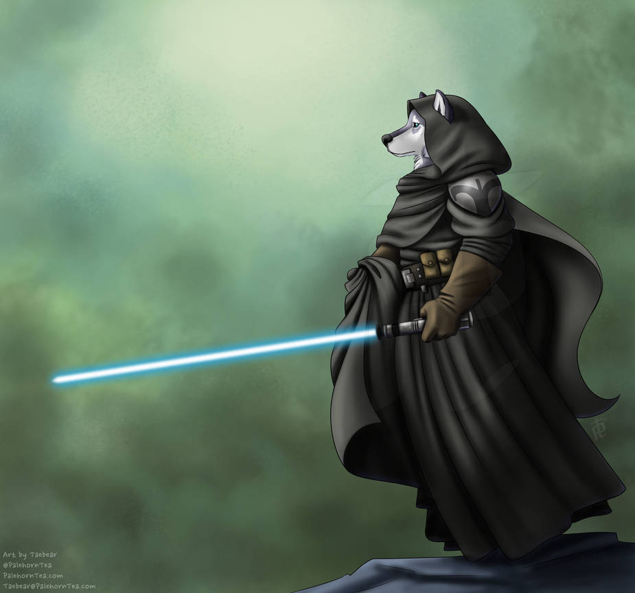 Jedi Shadow Rotation Shadow Jedi by PalehornTea on DeviantArt