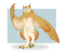 Zephyrus' Owl