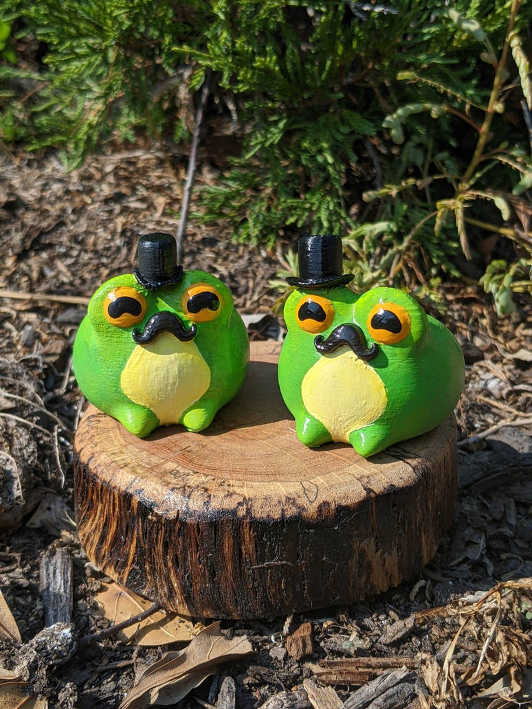 Fancy Frogs by BlueMonkey100 on DeviantArt