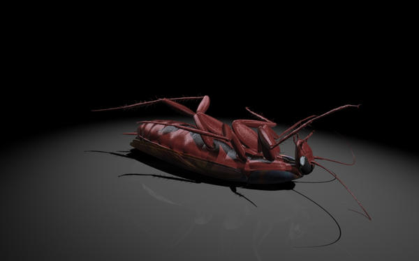 Cockroach by Tariq3D on DeviantArt