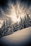 Here comes the cold by tiboat8h