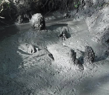 Quick Mud Explore the Best Quickmud Art | DeviantArt
