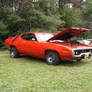 71' Roadrunner