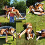 Rustwolf