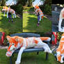 Peach Wolf