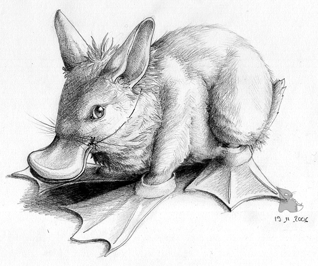 Lapin Deguise En Canard By Griffon Nage On Deviantart Lapin Deguise En Canard By Griffon Nage On Deviantart