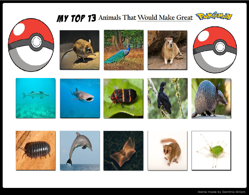 My Top 13 Animals would make great Pokemon by UPEOPilotJumbo on DeviantArt