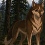 Northern Howl: Aleu