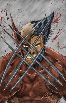 Wolverine finished in Clip Studio Paint 5