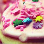 Cookie star sprinkles