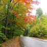 autumn road in Maine