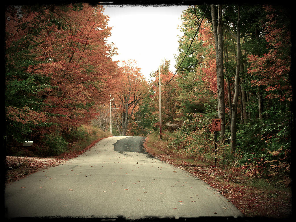 autumn Maine road