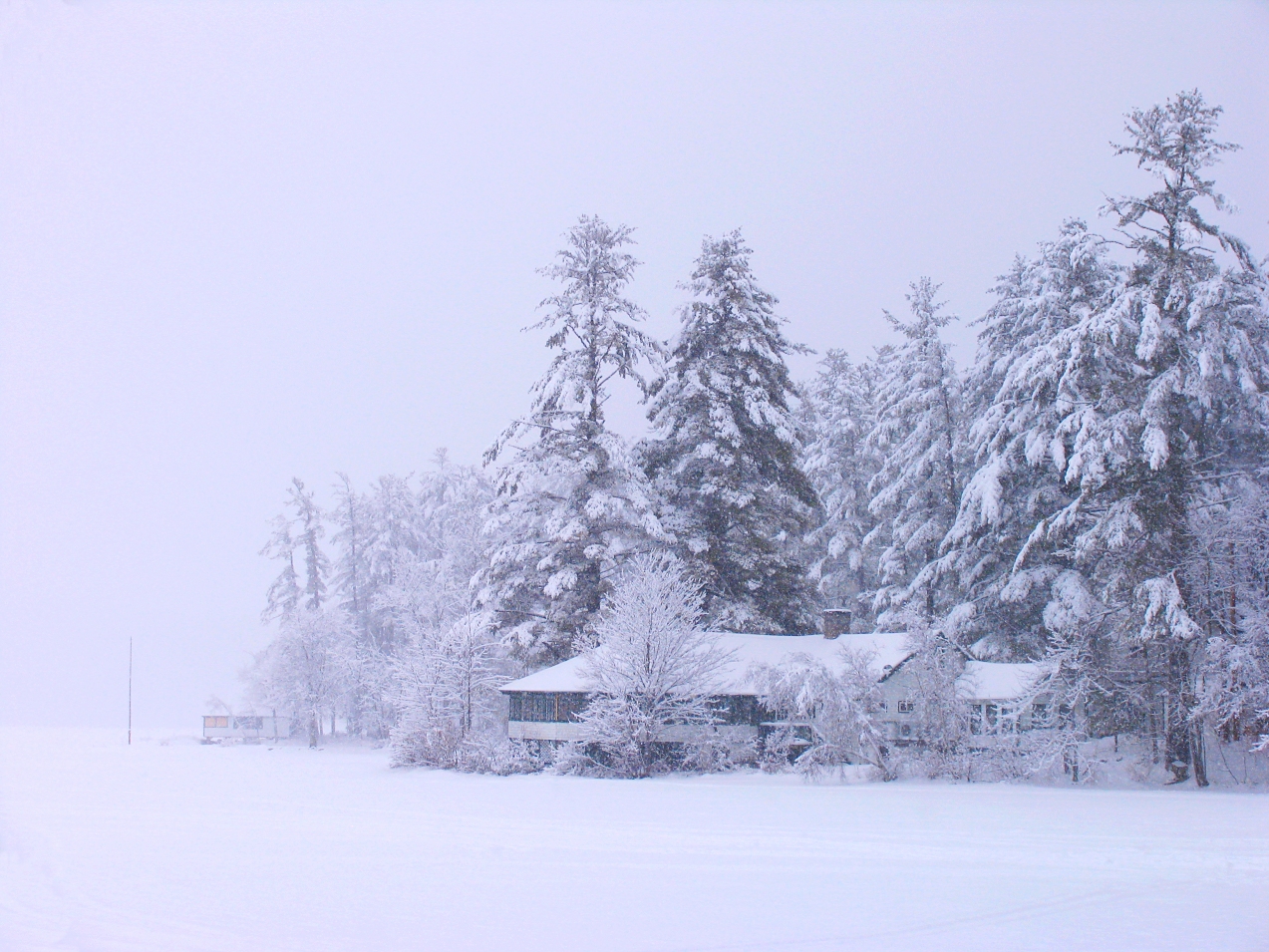 Winter beach in Maine