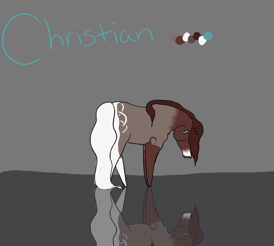 CHRISTIAN