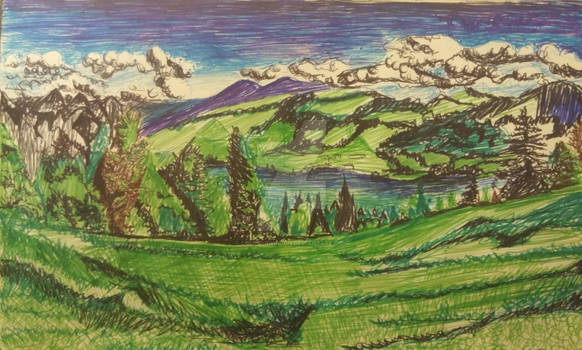 sketch in ballpoint pen landscape
