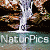 NaturPics Avatar Contest Entry