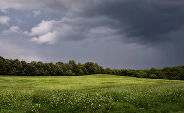 Storm Field