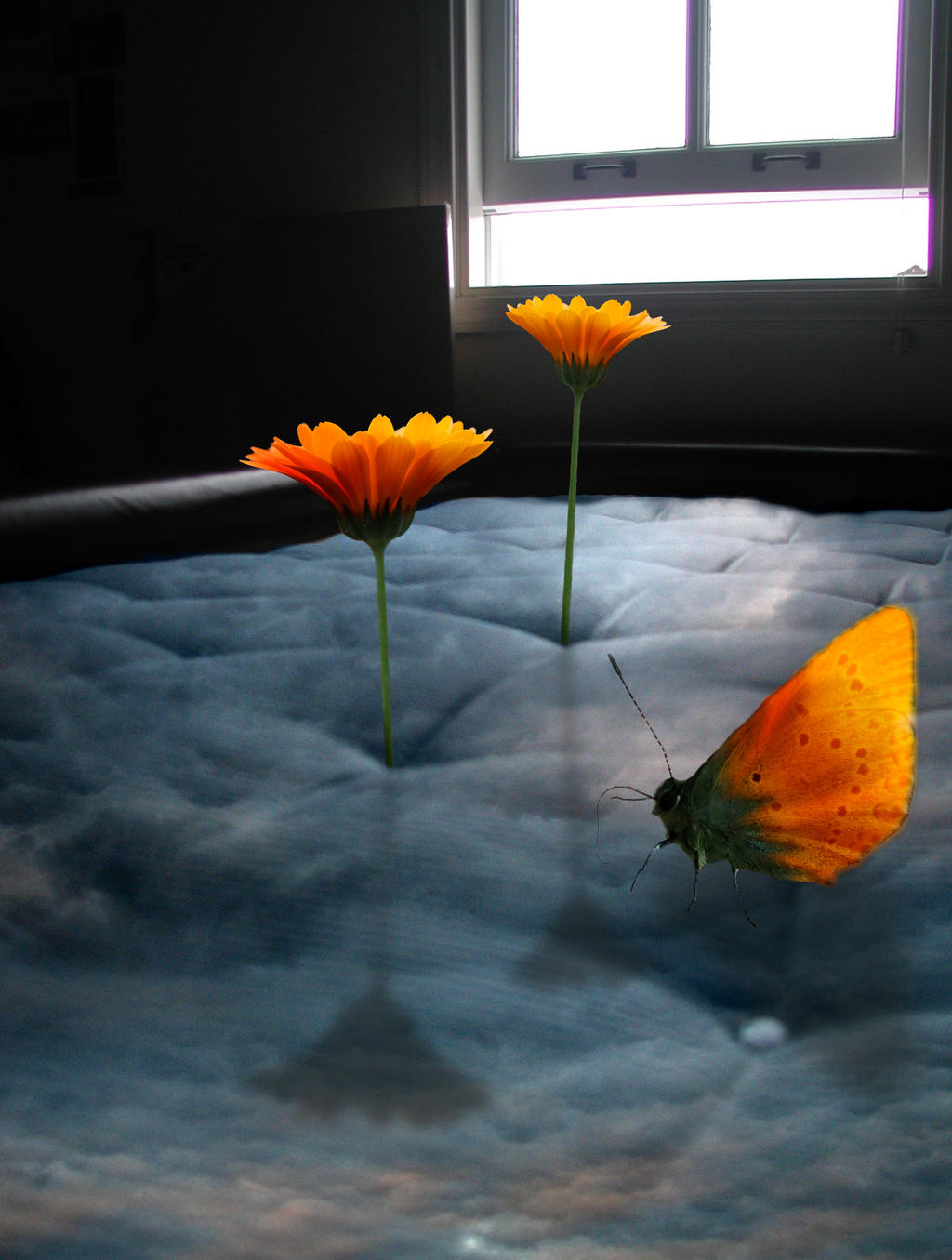 Flower Bed