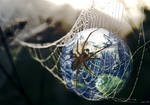 World Wide Web by ChrissieCool