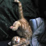 Falling Asleep