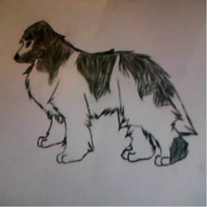 Newfoundland dog ~ Art trade with Newfka