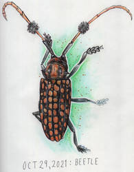 29. Beetle