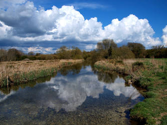 Down the river