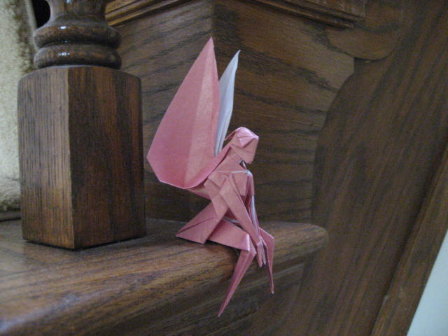 Pink Fairy